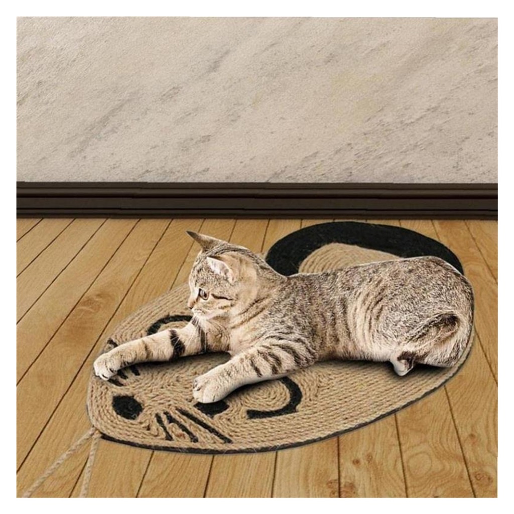 chat et tapis
