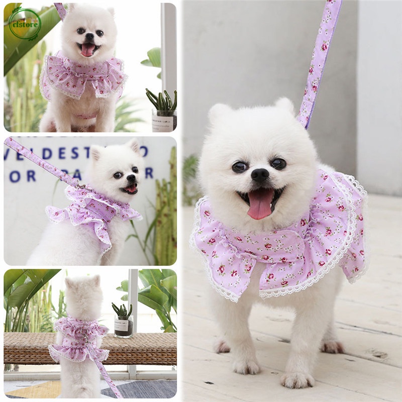 CFSTORE 1.2M Ensemble Laisse et Harnais pour Animaux de